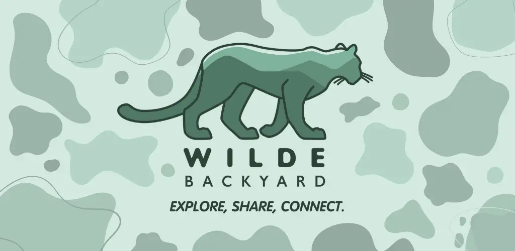 [Hero image description]