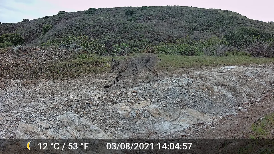 Wildlife sightings feature